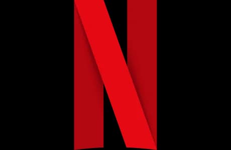 Netflix Subscription